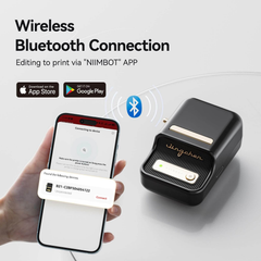NIIMBOT B21 多色热敏标签打印机