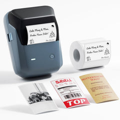NIIMBOT B1 Pro 300 DPI Bluetooth Thermal Label Printer Red & Black Printing for Home Office & Small Business - Lake Blue