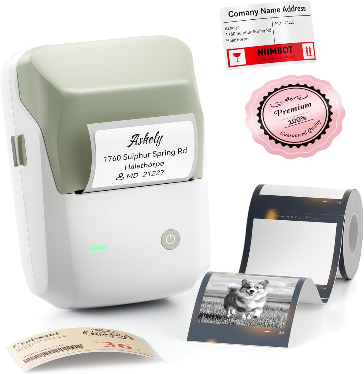 NIIMBOT B1 Pro 300 DPI Bluetooth Thermal Label Printer Red & Black Printing for Home Office & Small Business - Green