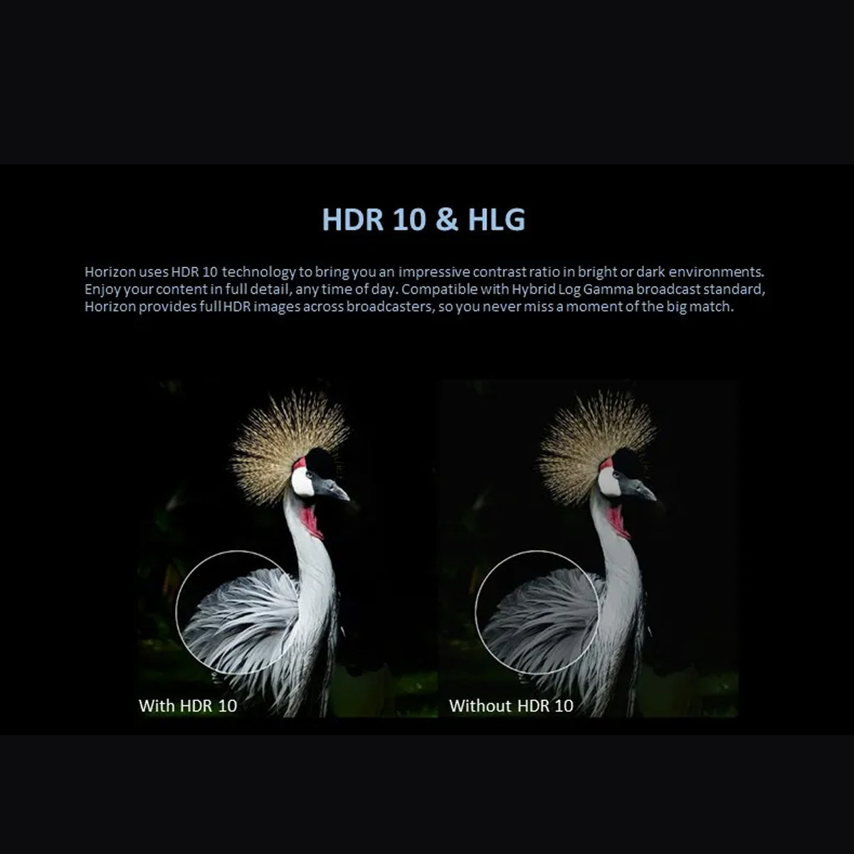 XGIMI Horizon 1080p FHD Home Theatre Movie Projector+Winways Medium Throw Fresnel Screen